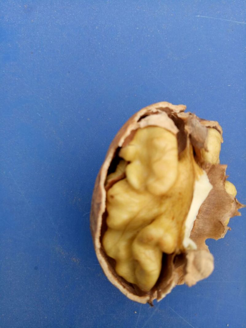 薄皮核桃30mm以上去皮