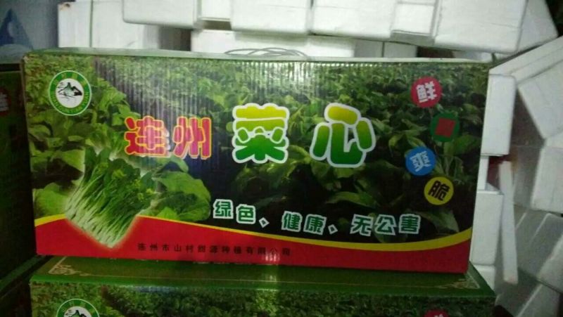 菜苔
