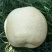 酥梨600g以上纸袋