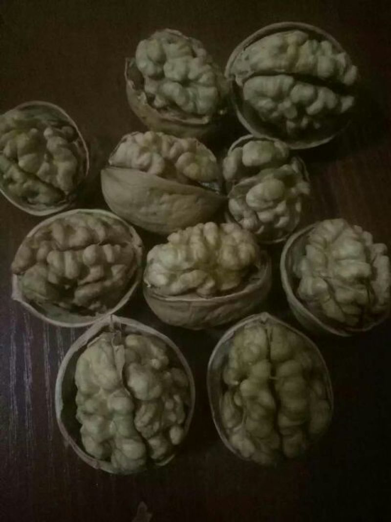 薄皮核桃30mm以上去皮