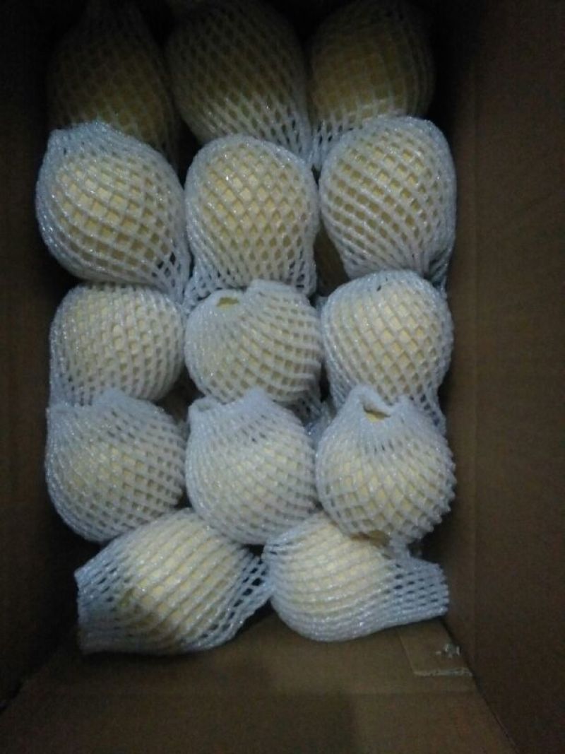 梨光果300~350g