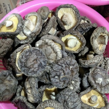 随州香菇精选光面菇3~4cm产地直销品质稳定可出口