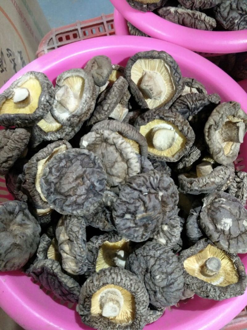 随州香菇精选光面菇3~4cm产地直销品质稳定可出口