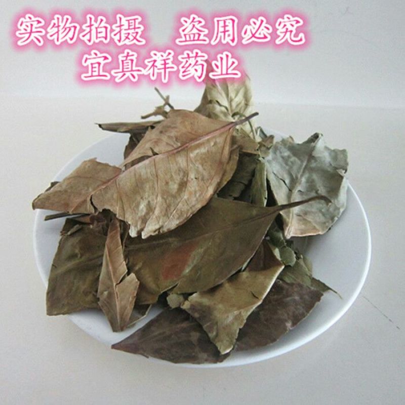 橘叶