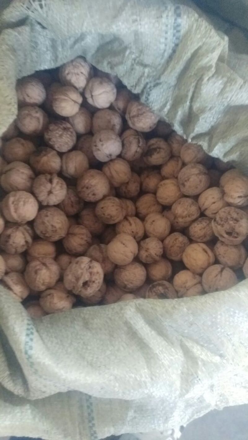 薄皮核桃40mm以上去皮干
