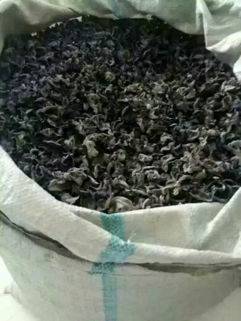 黑木耳二级