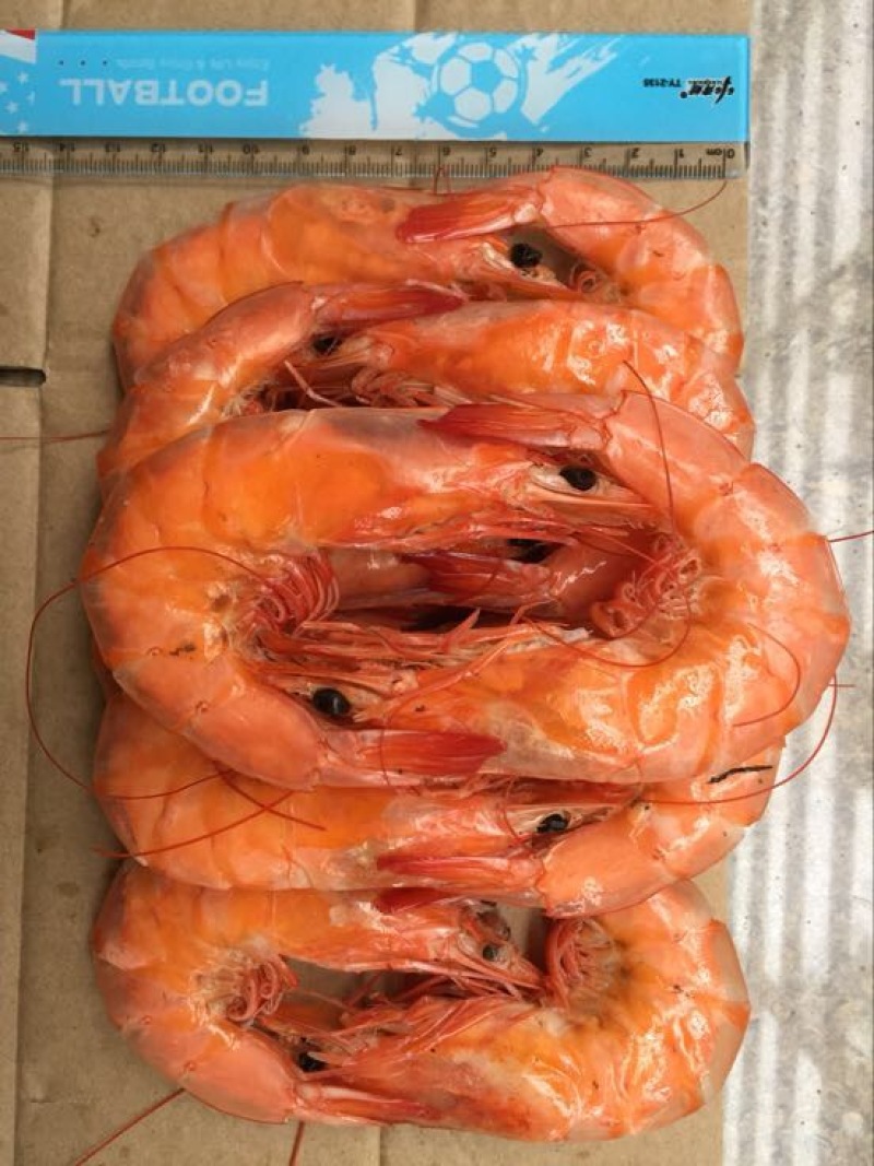 对虾干