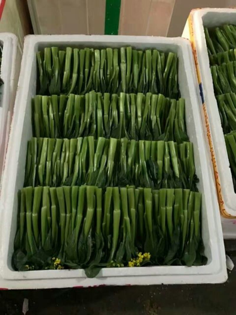 蔬菜