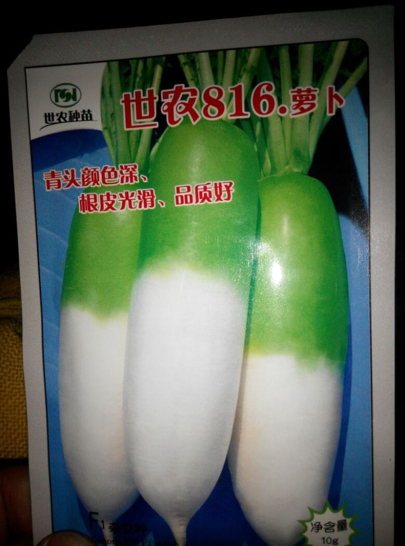 白萝卜1~1.5斤起