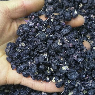 黑枸杞头茬干货