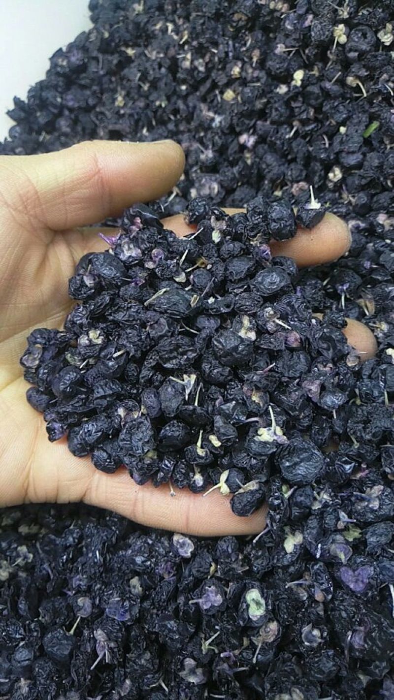 黑枸杞头茬干货