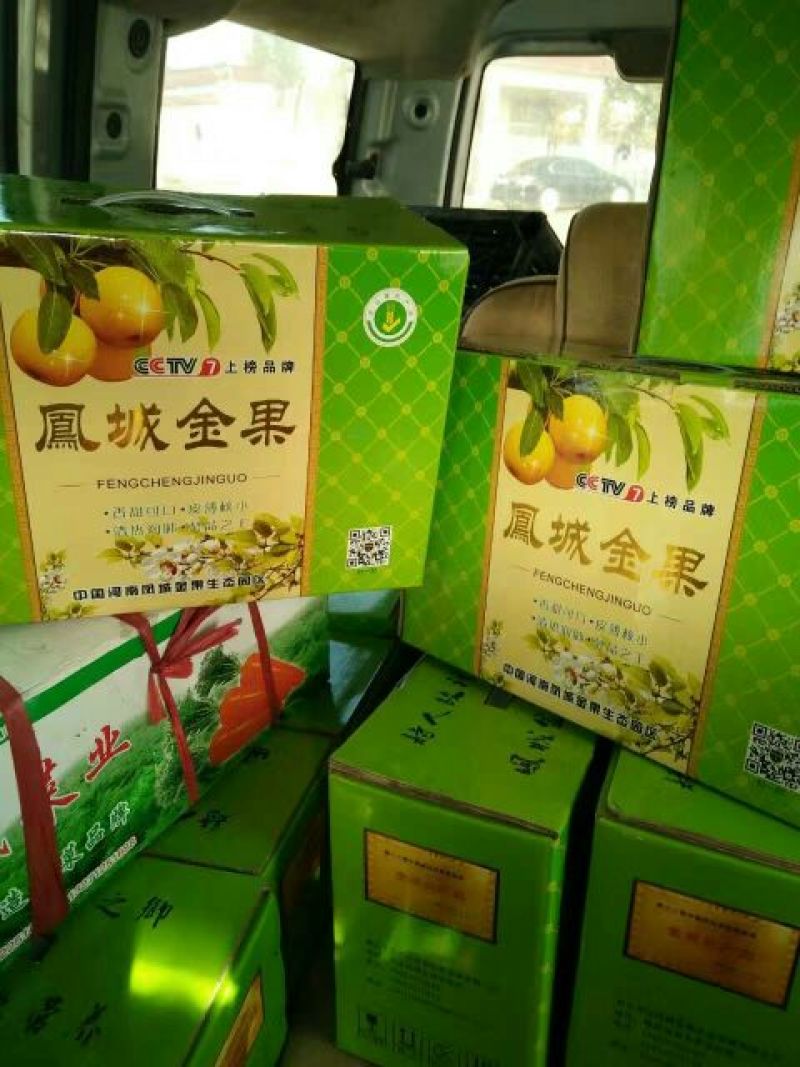 晚秋黄梨600g以上纸箱