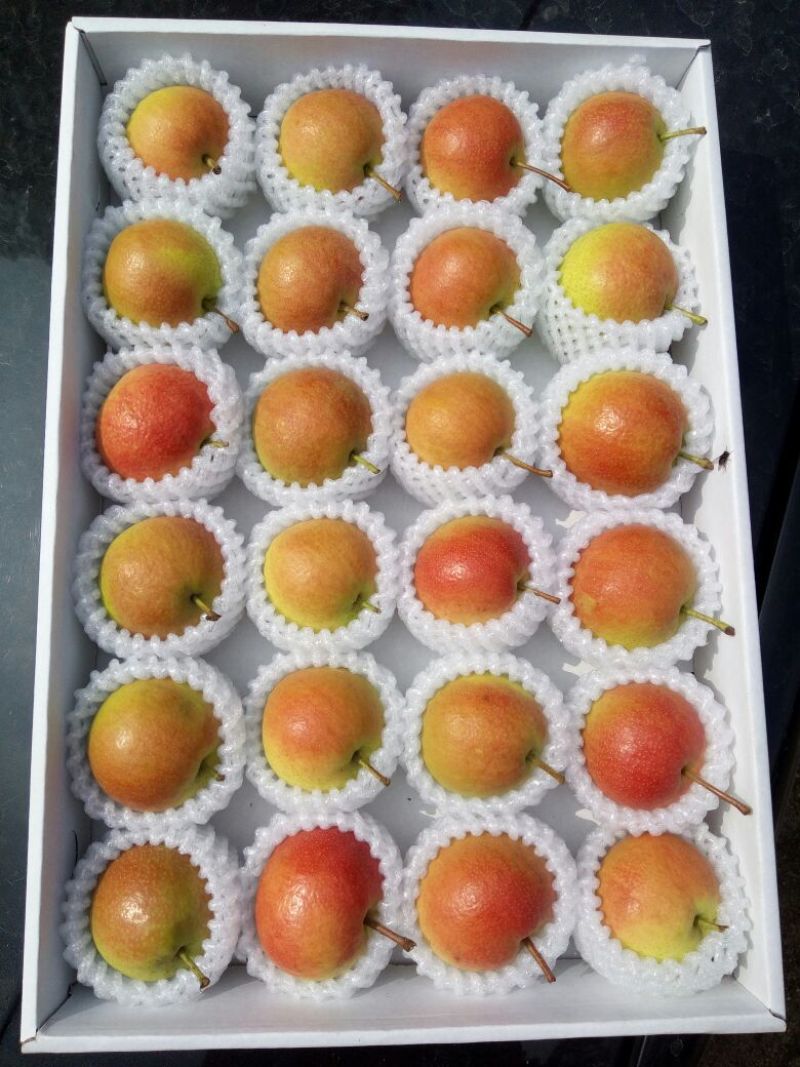 南果梨150~200g纸箱