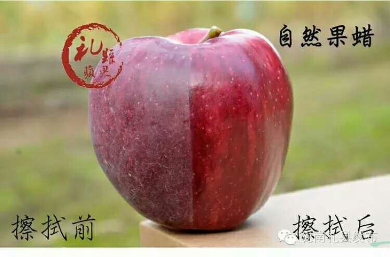 花牛75mm以上光果