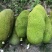 菠萝蜜10~20公斤档口批发电商代发