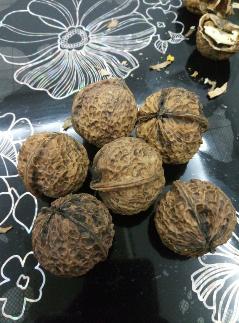 野生核桃30mm以上去皮干