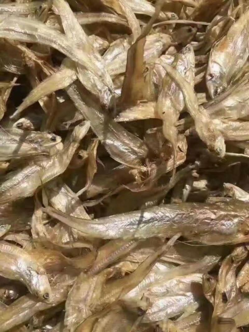 毛花鱼干