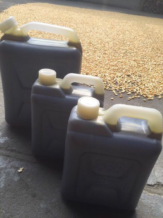 浙江杭州市临安市压榨菜籽油 一级批发_陈雪枫