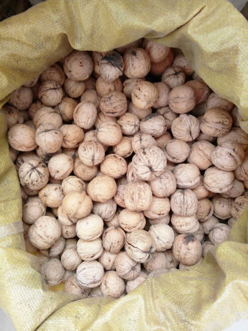 薄皮核桃去皮干