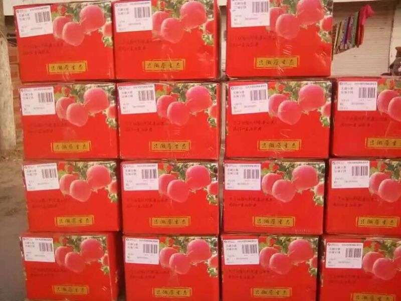 贡梨300~350g纸箱