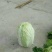 大白菜