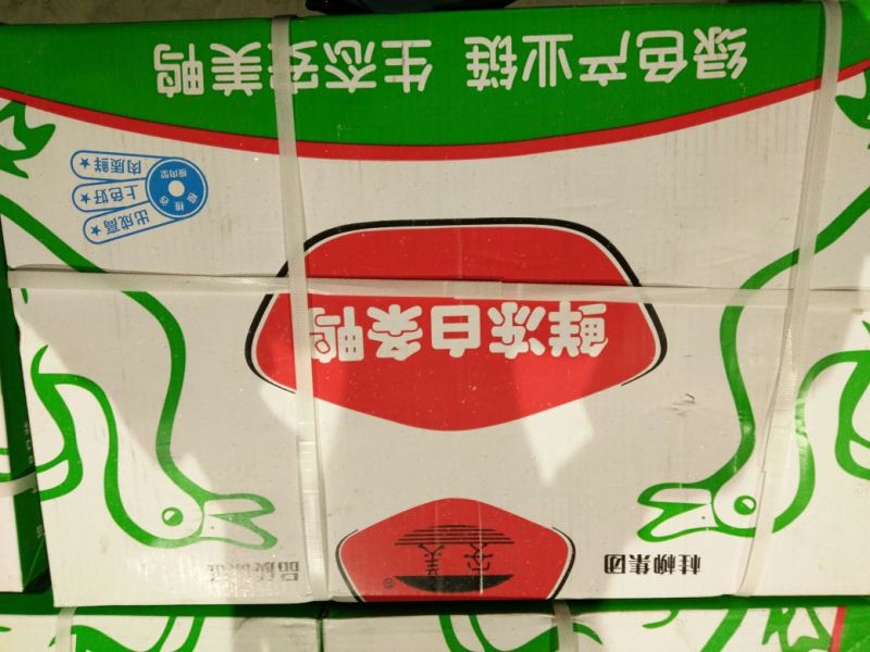 白条鸭