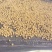 新疆185核桃去皮