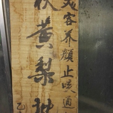 晚秋黄梨450~500g纸袋