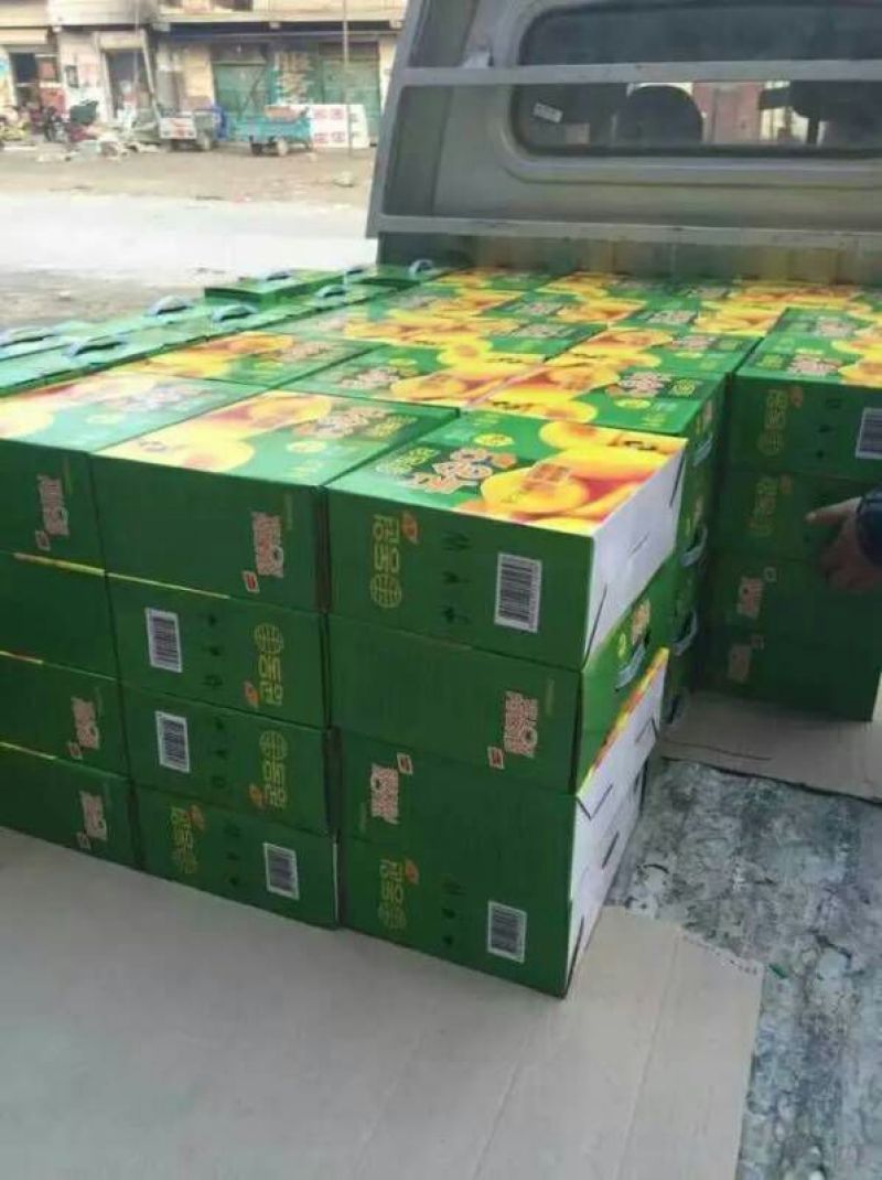 黄桃罐头