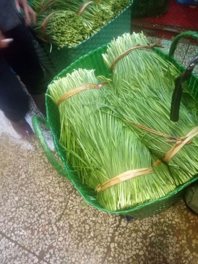 【优选】南宁良庆大叶韭菜大量上市中产地直发欢迎致电
