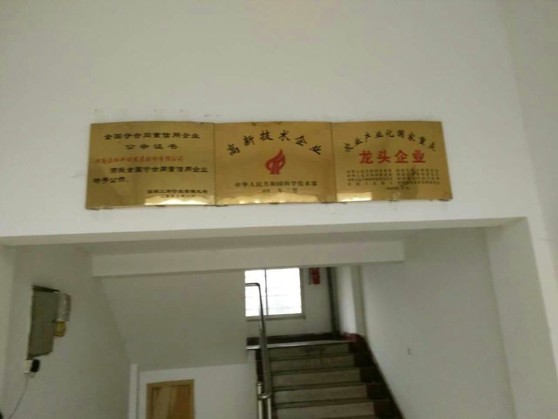 狮头鹅苗