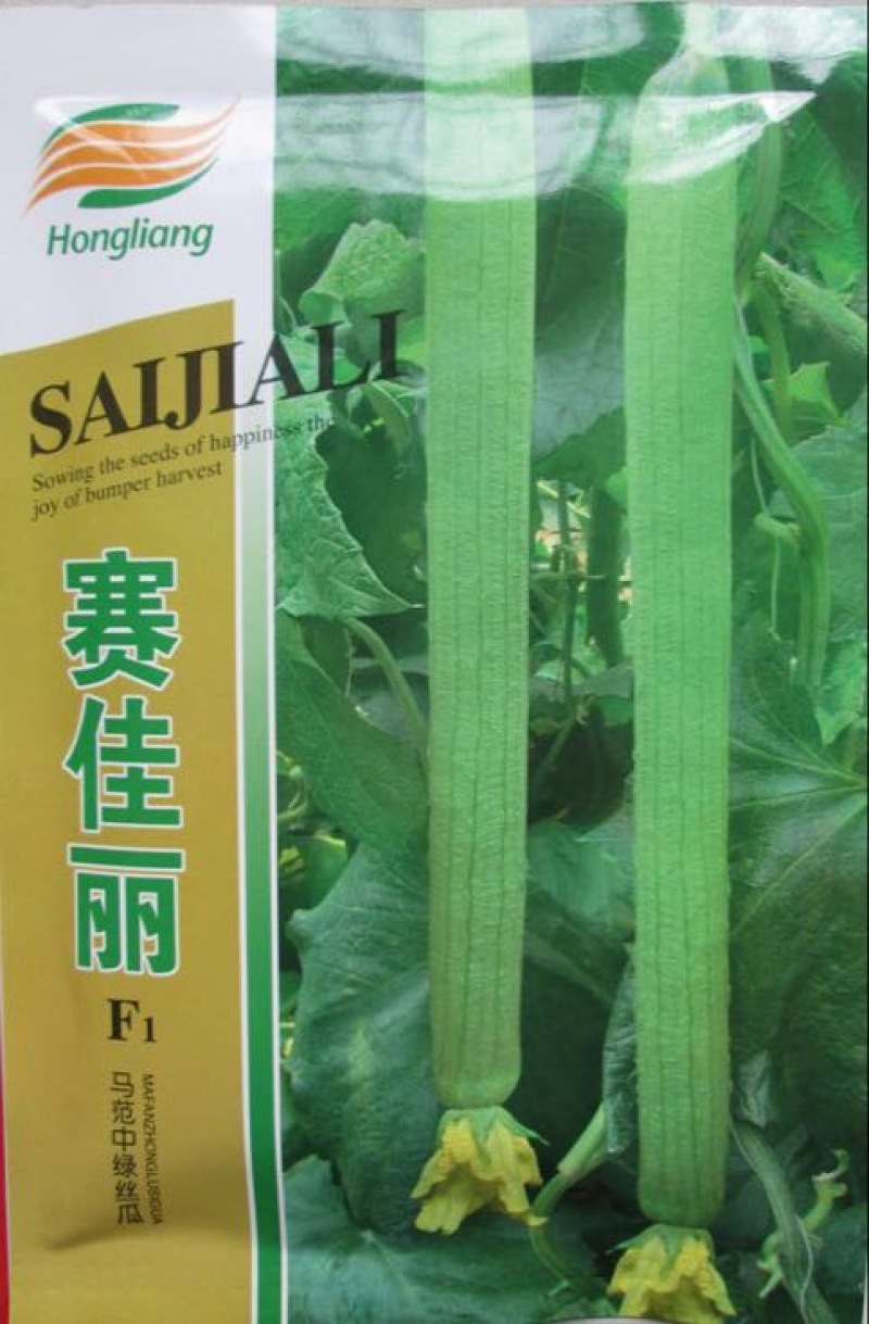 无蔓金丝瓜种子