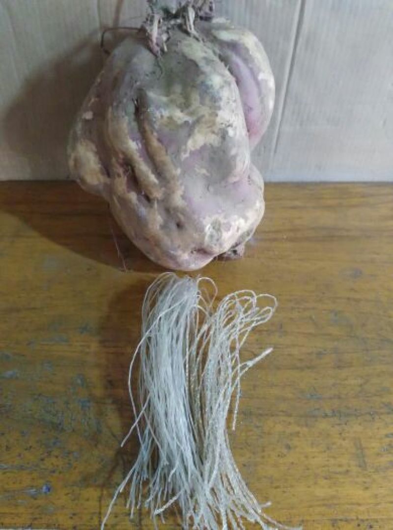红薯粉条