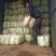 山东肥城北京新三号大白菜大量供应中，冷库储存。净菜毛菜