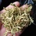 金银花色青花