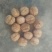 核桃去皮干