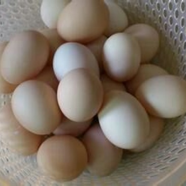 土鸡蛋食用50g以下