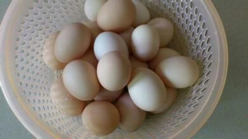 土鸡蛋食用50g以下