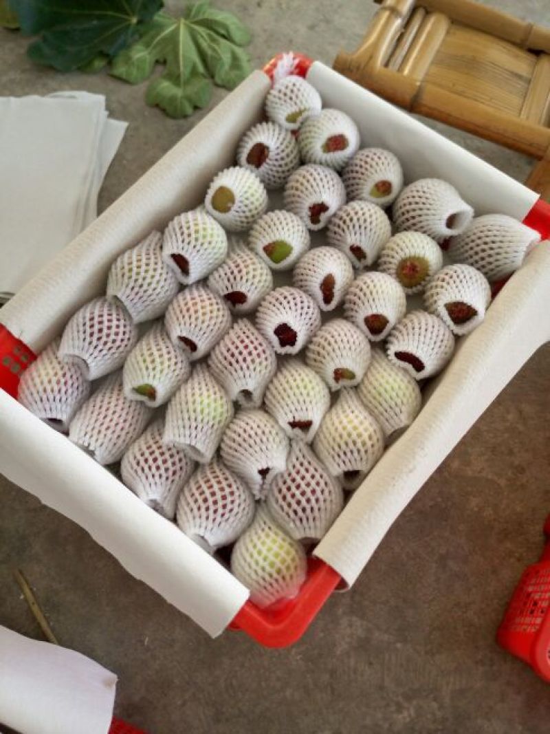 无花果60~70g