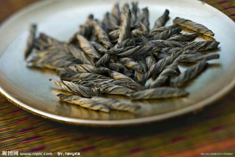 苦丁茶