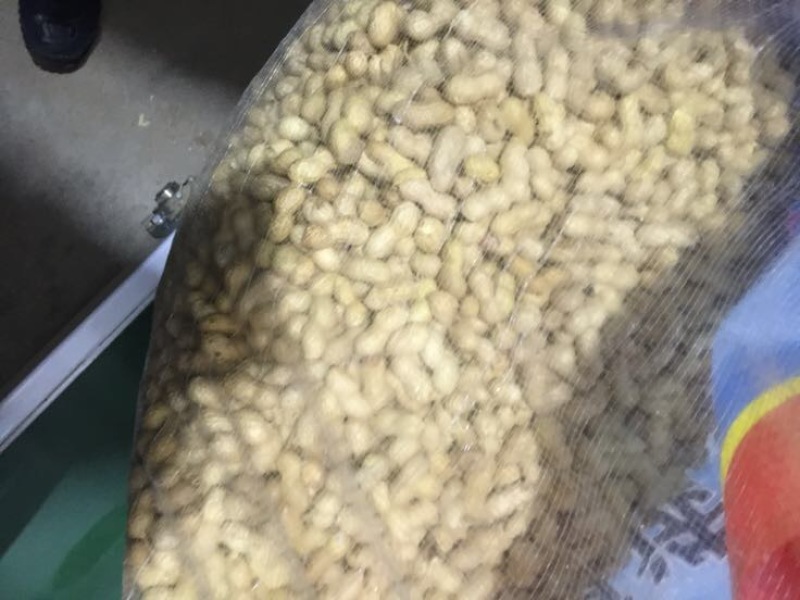 带壳花生