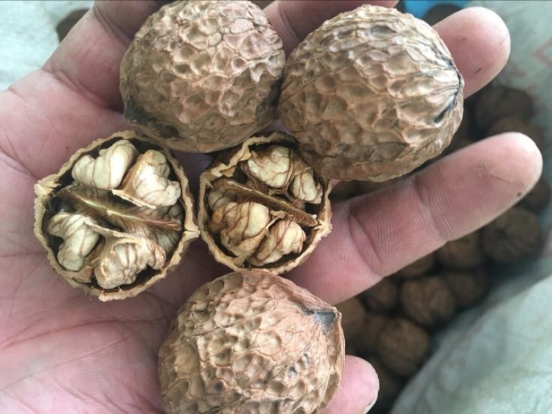 薄皮核桃30mm以上去皮干