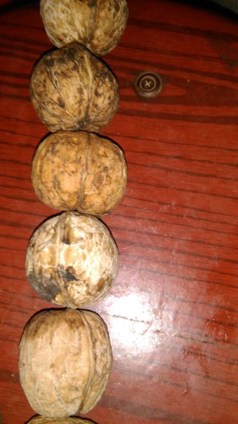 薄皮核桃40mm以上去皮干