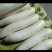 白萝卜3~3.5斤起