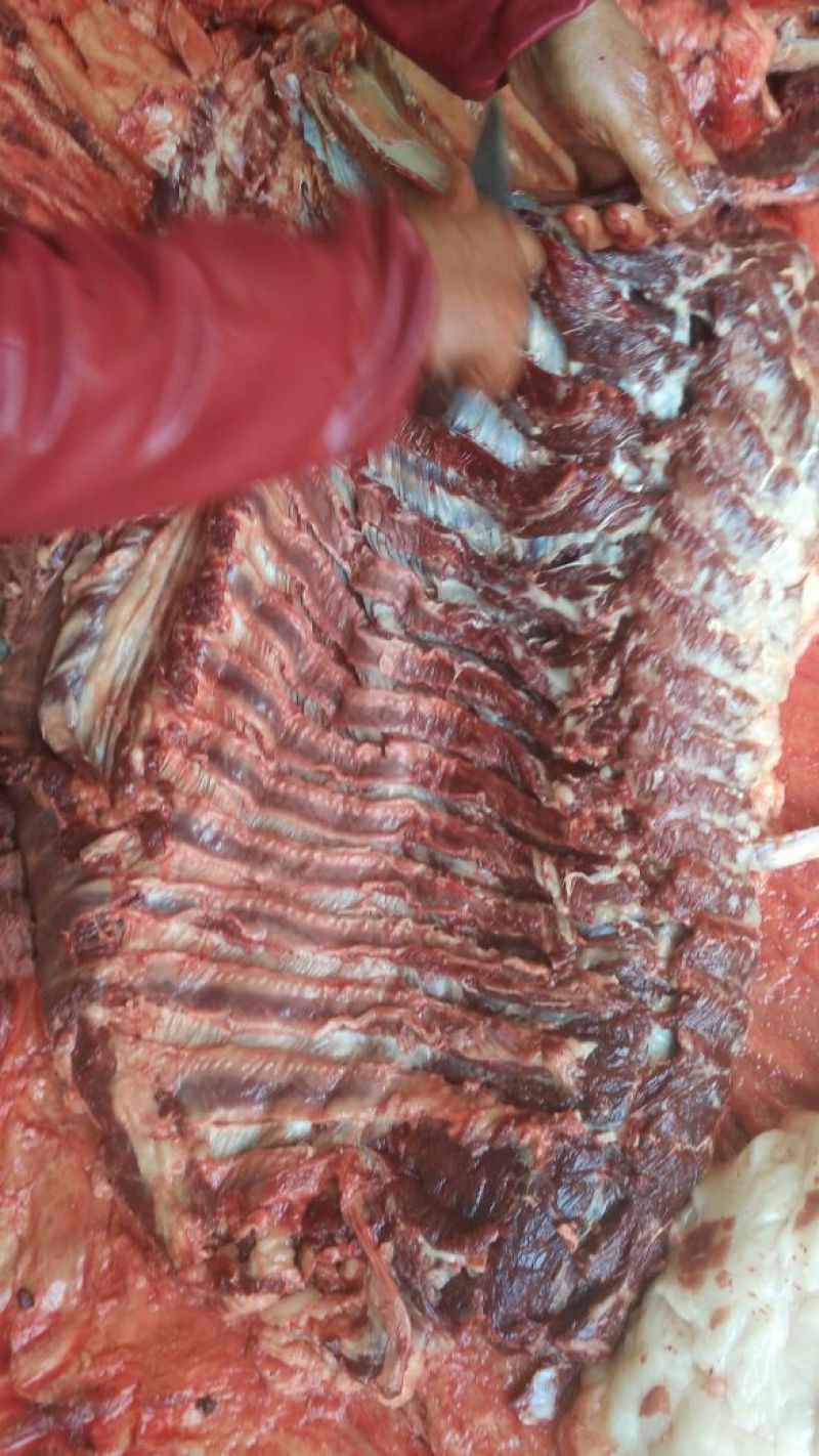 驴肉鲜货