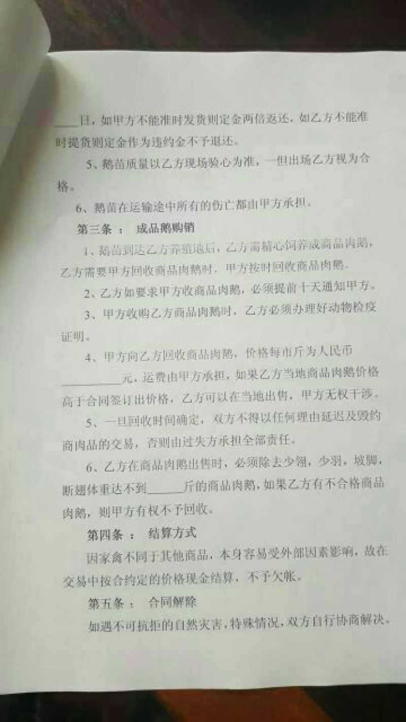 皖西白鹅苗250g以上