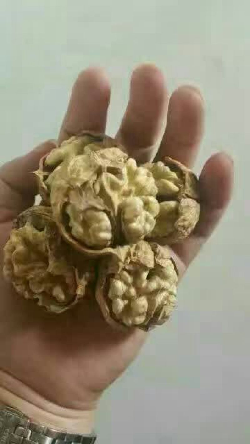 纸皮核桃去皮干