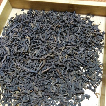 黑茶