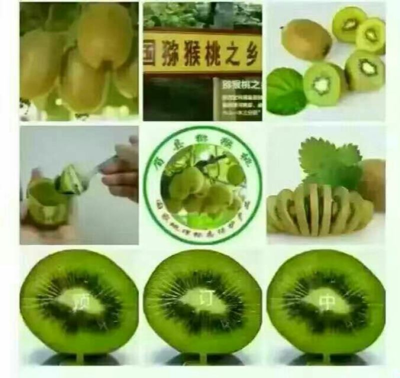 陕西徐香猕猴桃，优选猕猴桃，全国发货，质量保证，欢迎选购