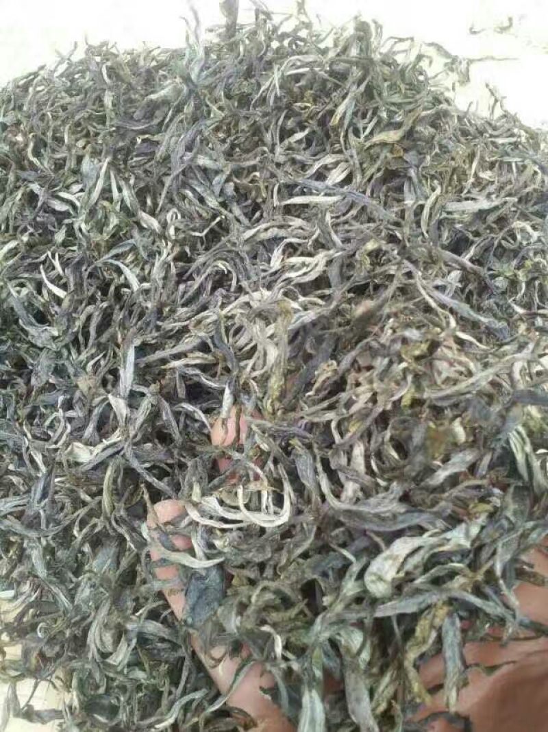 百年大树茶特级